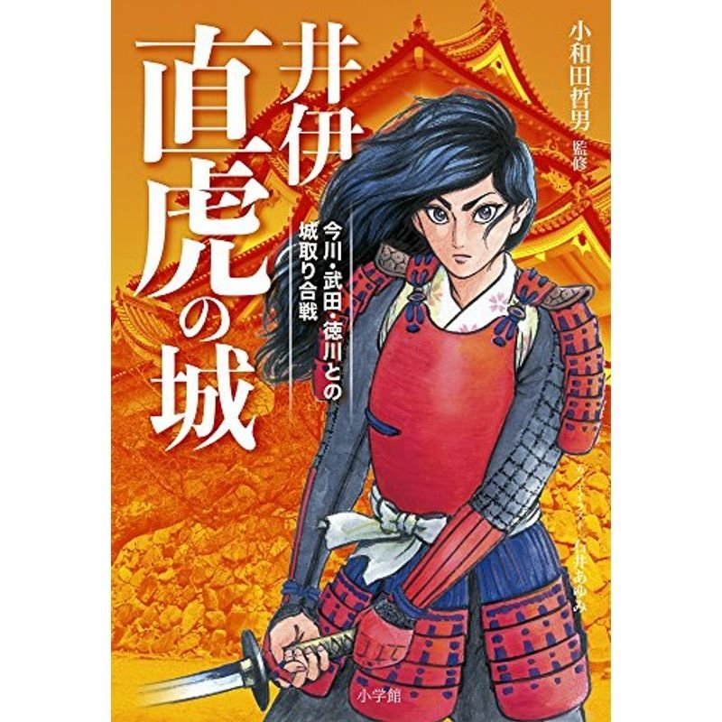 井伊直虎の城: 今川・武田・徳川との城取り合戦