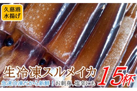 「お刺身、いか焼き、炒めものに！」三陸の生冷凍イカ15杯」