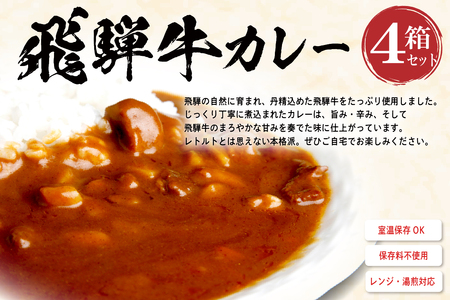 飛騨牛カレーセット