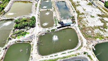 ~獨家~安南區鄭成功公園”都內養殖農地“｜台南市安南區青砂段