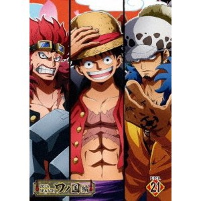 和風 ワンピース ONE PIECE 20th season ワノ国編 36巻DVD - 通販