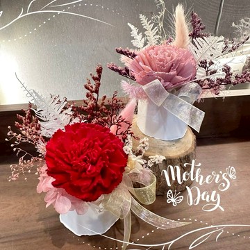 【花回想】母親節限定-索拉康乃馨擴香盆(多色)
