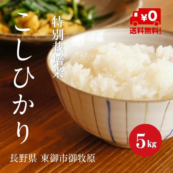 新米 令和５年産 特別栽培米 こしひかり 御牧原産 １等米 白米 ５kg