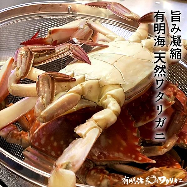 ワタリガニ直売 活〆 有明海 生 渡り蟹 約350g(S)×2尾 わたりがに 熊本県上天草市 旬 活締め冷凍 ボイルして本格パスタに［お歳暮 2023 ギフト 御歳暮］