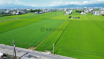 永慶坤億～專任近市區中道中學低總價1.3分美農地｜宜蘭縣壯圍鄉五權段
