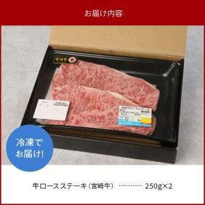 ふるさと納税 宮崎牛 ロース ステーキ 250g×2 計500g　N0147-ZB117 宮崎県延岡市