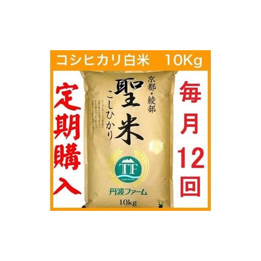 ふるさと納税 京都府 綾部市 京都府産コシヒカリ 白米 10kg×12回 定期便 お米 米 白米 精米 こしひかり 国産 京都 綾部