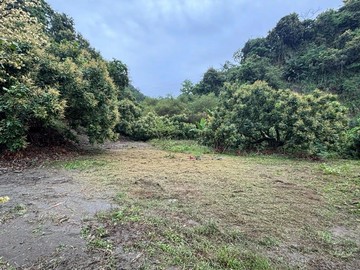 《妍選》台中霧峰桐林龍眼樹農地｜台中市霧峰區霧峰段北溝小段