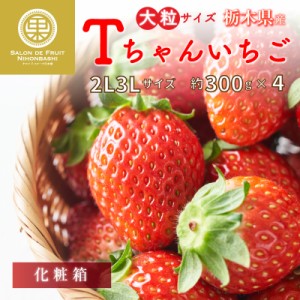 [予約 2024年1月5日-1月30日の納品] とちおとめ 約300g×4 2L3L 栃木県産 果実専用箱 いちご