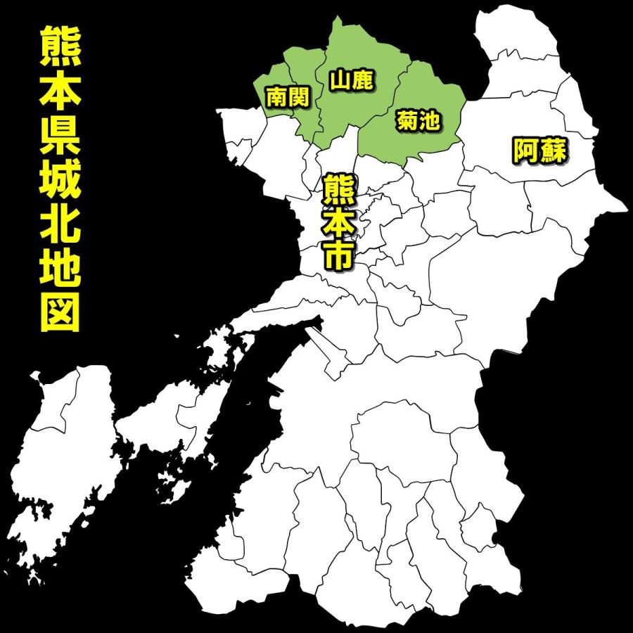 お米 米 30kg 白米 熊本県 菊池産 ひのひかり あすつく 新米 令和5年産 ヒノヒカリ 5kg6個 産地限定米 くまもとのお米 富田商店 とみた商店