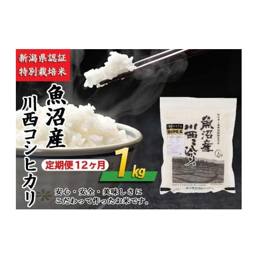 ふるさと納税 新潟県 十日町市 魚沼産川西こしひかり1kg　新潟県認証特別栽培米　令和５年度米