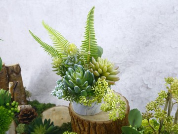 羊齒蕨多肉組合香氛植物/擬真植物/人造盆栽/綠化/佈置/禮物