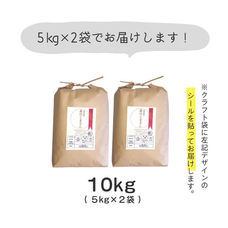 新米 米 お米 10kg 送料無 森のくまさん 熊本県産 令和5年産 白米10kg もりのくまさん 5kg×2袋 贈答用 ギフト