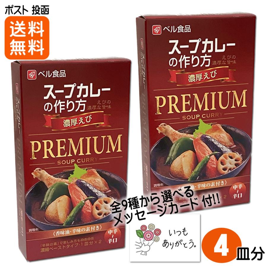 スープカレーの作り方スープカレー用ペースト 2皿分×2箱