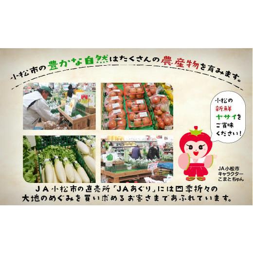 ふるさと納税 石川県 小松市 JA小松市 季節の野菜詰合せ