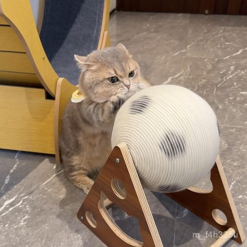 【24時熱賣】貓抓闆貓抓墊貓玩具貓爬架貓玩具貓抓闆耐磨不掉毛劍麻球貓抓柱磨爪貓爬架一體式寵物用 IFEF