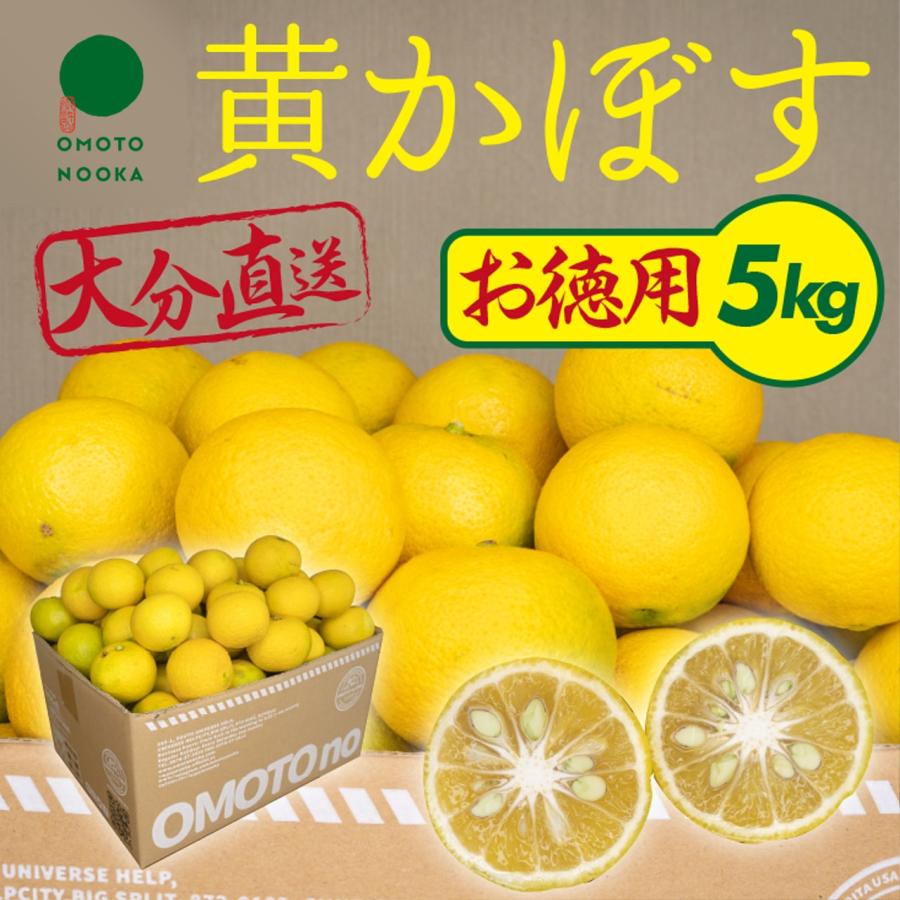 県宇佐市産 黄かぼす  約5kg 25〜35個　柑橘 産直 お取り寄せ