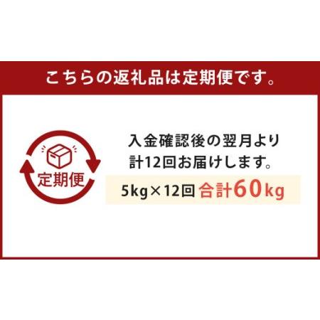 ふるさと納税 人吉球磨産 ヒノヒカリ 5kg 熊本県人吉市