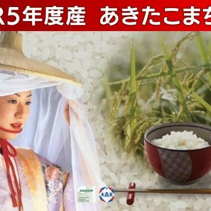 令和5年産 あきたこまち 精米 5kg×1袋 秋田県 男鹿市 秋田食糧卸販売