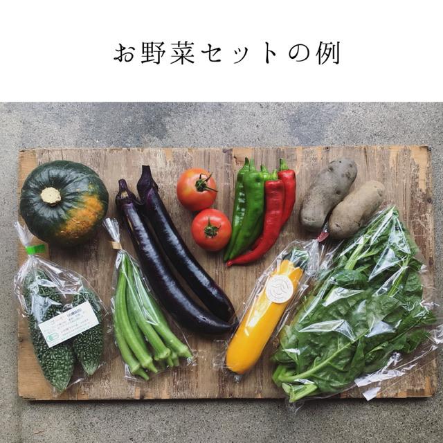 旬の無農薬野菜セット Msize   送料込み　8〜10品目　京都産中心　野菜セット　宅配　夏場は冷蔵、冬場は常温で配送