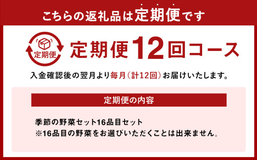  季節の野菜セット 16品目