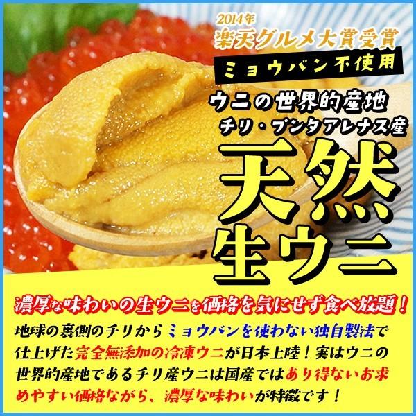 うに ウニ 天然生ウニ 100g×3パック 雲丹 ミョウバン不使用 完全無添加 冷凍食品 寿司 軍艦 ウニ丼