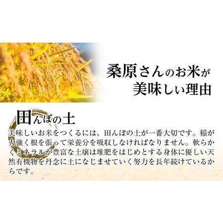 ふるさと納税  桑原さんのこだわり　魚沼産こしひかり　10kg 新潟県津南町