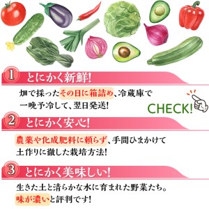 ＜アスカ有機農園＞旬の京野菜セットS＊毎月お届け全6回