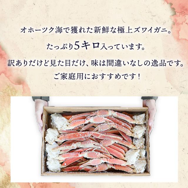 送料無料 ボイルズワイガニ 脚 セクション 5kg 2L〜3Lサイズ相当 250-300g 肩 甲羅を除いた肩から足の部分 かに 蟹 特価