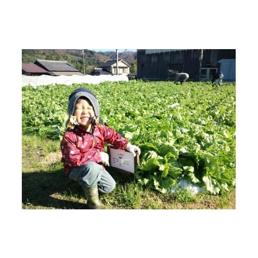 ふるさと納税 京都府 綾部市 京都府綾部市の季節の野菜セットM（3〜4名様分）農薬不使用 無農薬 新鮮 野菜 セット 詰め合わせ 京都 綾部 農家…