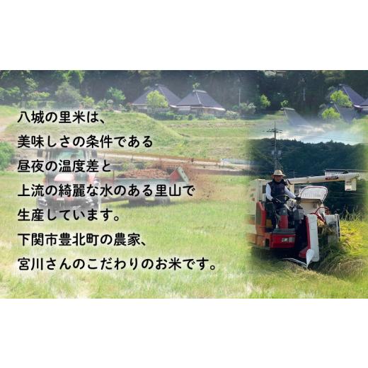 ふるさと納税 山口県 下関市 令和5年収穫  山口県産ひのひかり 玄米 10kg×1箱