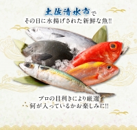 季節の鮮魚 おまかせお楽しみセット（翡翠コース）天然魚 食べ比べ 魚介類 海鮮料理