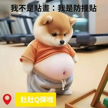 柴犬立體防撞貼 柴犬大肚子防撞貼 柴犬冰箱貼 門把防撞貼 小狗冰箱貼 大肚子防撞貼 門把防撞貼 門窗防撞貼 創意防撞貼