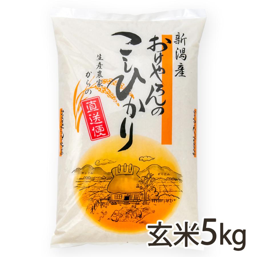 新潟県産コシヒカリ 玄米5kg（5kg×1袋） おけやろん 送料無料