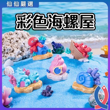 魚缸裝飾 多色海螺屋 彩色海螺 水族造景 水族裝飾 海洋造景 魚缸造景 章魚 貝殼 多肉 盆栽 造景 螃蟹 船 海螺