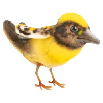 HANSA TOY 黃胸織雀 填充絨毛玩具  8245  1個  13cm