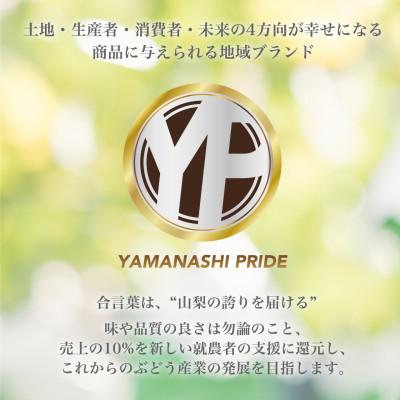 ふるさと納税 山梨市 山梨産厳選シャインマスカット 3〜4房 (約2kg) YAMANASHI PRIDE