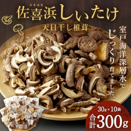 干し椎茸　１０袋　計３００ｇ