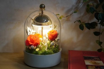 永生花小夜燈 快速出貨 新張優惠 生日禮物 永生花