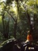 Fun心玩攝影[二手書_良好]