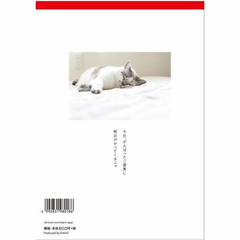 今日、やすんじゃえば…？ サプライズBOOK ネコ 猫 写真 本 書籍