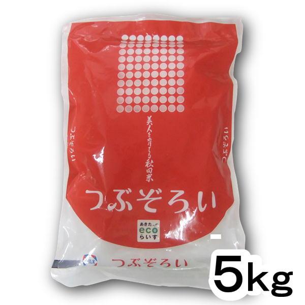 令和5年産 精米 秋田県産 つぶぞろい 5kg 米 粒大きく 柔らかい食感 旨み お取り寄せグルメ