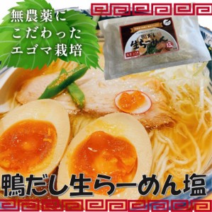 鴨だし生らーめん塩 (2食入り) こしのある麺と希少な『えごま鴨』のガラから抽出した出汁で仕上げたスープ濃厚な『鴨だしらーめん』