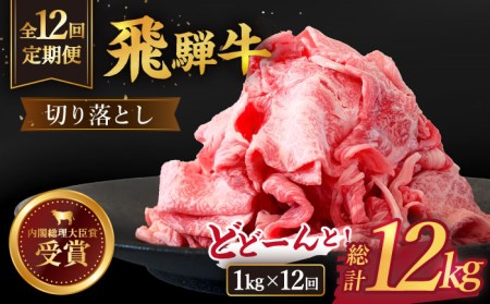 ＼贅沢な味わいをご家庭で／ 切り落とし 総計12kg 〈1回あたり〉1kg (250g×4) 国産 ブランド牛 和牛 BBQ キャンプ  [TDC016]