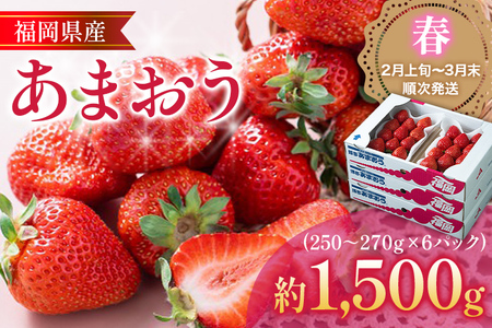 福岡産あまおう 6パック 合計約1500g~1620g 約1.5kg （1パックあたり約250g~約270g） いちご 苺 果物 フルーツ 九州産 福岡県産 冷蔵 送料無料 