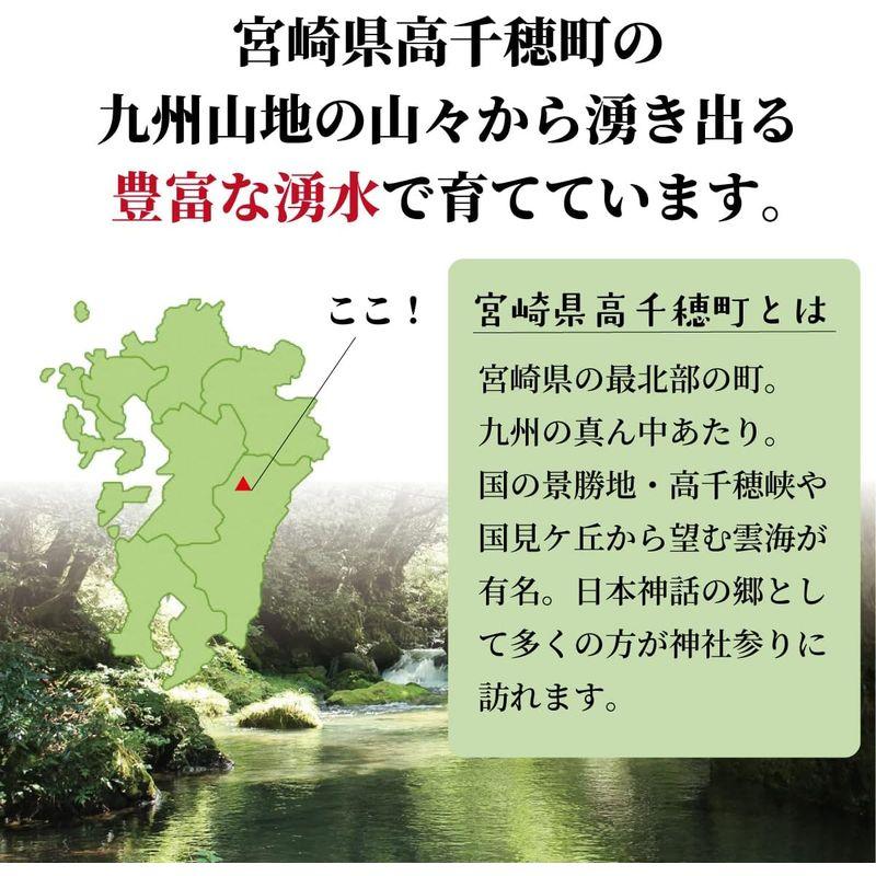 精米ひのひかり（ヒノヒカリ） 宮崎県高千穂町産 棚田米 (10kg, 白米) 令和4年産