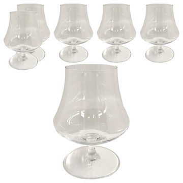 Chef&Sommelier 綻放系列 威士忌杯  10.4 x 13.2cm  6個