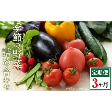 ふるさと納税 長崎県産　季節の野菜BOX 長崎県