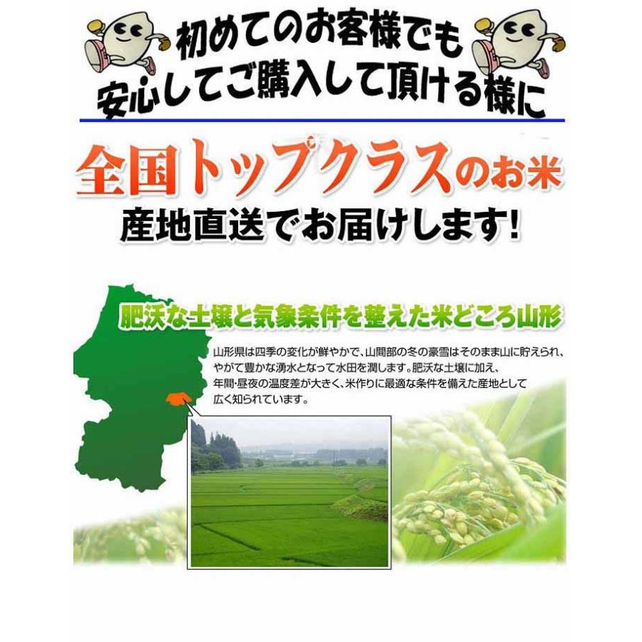 令和5年 新米 2023年 山形県産 はえぬき 白米 30kg (5kg×6袋) 精米 ギフト 産地直送 のし プレゼント ブランド米 