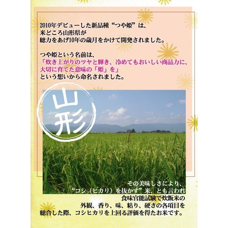 [新米] 令和5年産 5kg つや姫 山形県産 精白米 白米  特別栽培米 送料無料（SL）